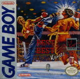Best of the Best: Championship Karate (Game Boy)